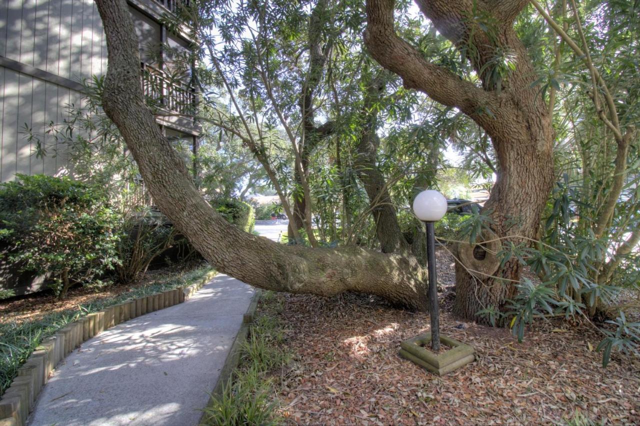 Mariner'S Cove - A 202 Myrtle Beach Exterior foto